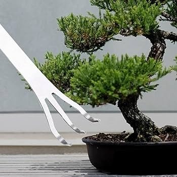 Ferramentas para Bonsai